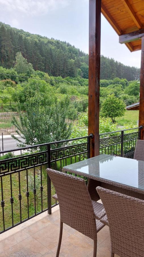 Forest Apartment Sapareva Banya Exterior photo