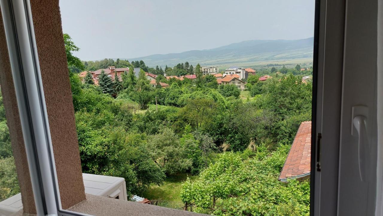 Forest Apartment Sapareva Banya Exterior photo