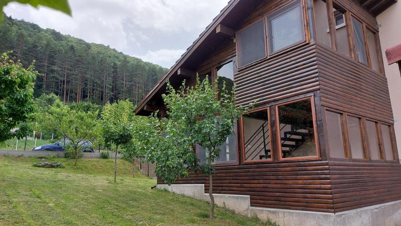 Forest Apartment Sapareva Banya Exterior photo