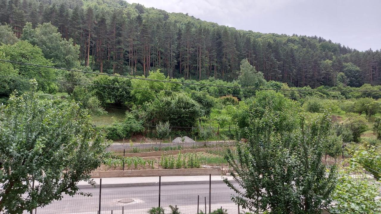 Forest Apartment Sapareva Banya Exterior photo